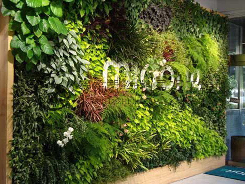 绿饰界垂直绿化生态植物墙，仿真植物墙的9大优势