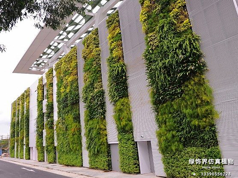 沈阳活体植物墙,沈阳植物墙制作,沈阳仿真植物墙-沈阳绿饰界景观工程有限公司